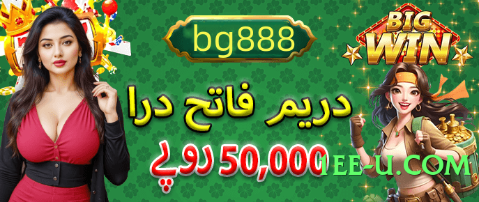 Mega wt777 Winner v4.8.7 Screenshot 2